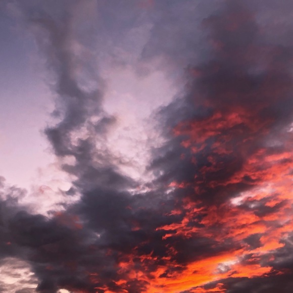 Meet your Posher, April - Picture 1 of 1